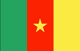 flag Cameroon