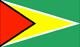 flag Guyana